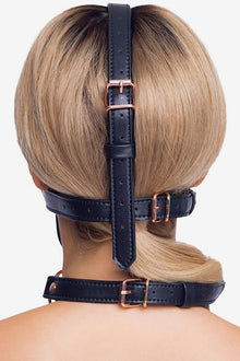 Head Harness With A Gag